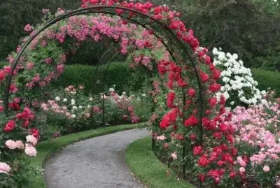 Rose Covered Garden Entrance
