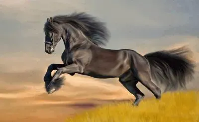 imagens jigsaw puzzle