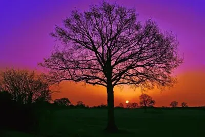 amanecer jigsaw puzzle