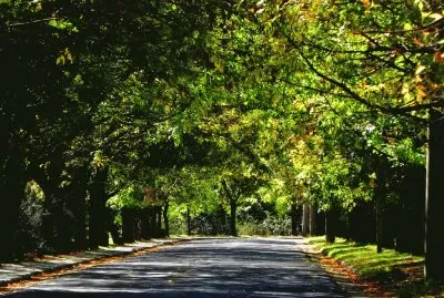 En Campana. Buenos Aires. Argentina