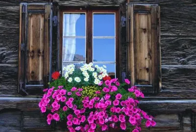 פאזל של imagenes