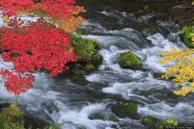 imagens jigsaw puzzle