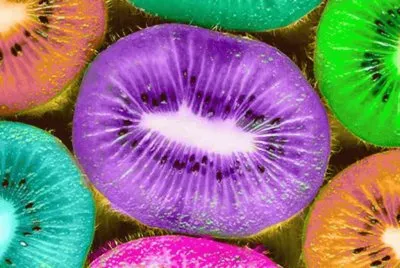 פאזל של multicolor