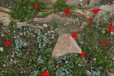en las sierras