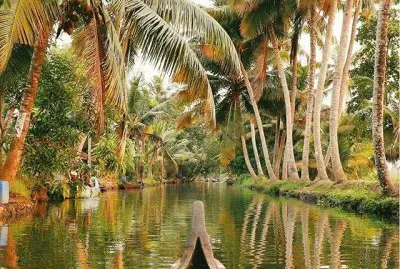 פאזל של Navegando en Kerala-India