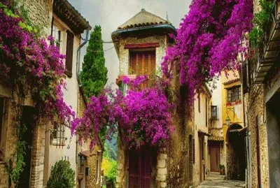 La Provenza-Francia