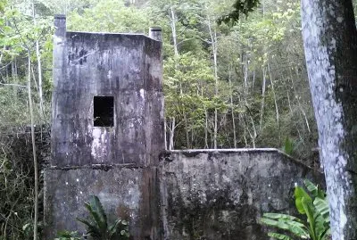 פאזל של Zandro el Venezolano