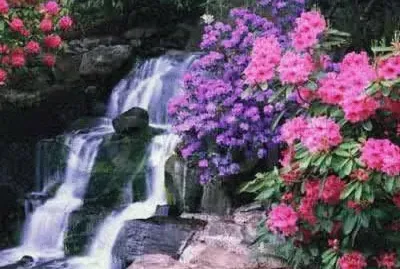 paisajes jigsaw puzzle
