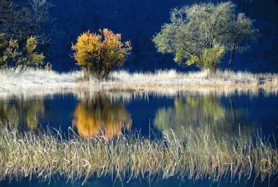 Lago Falkner. NeuquÃ©n. Argentina