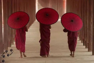 imagens jigsaw puzzle