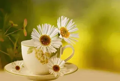 imagens jigsaw puzzle