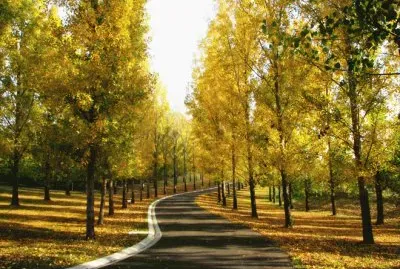 otoÃ±o jigsaw puzzle