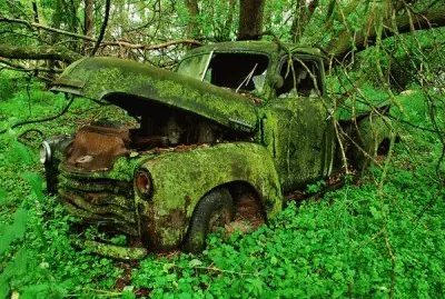 truck-moss-woods_42607_600x450