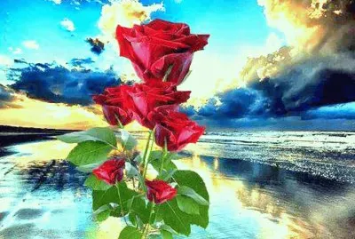 פאזל של imagens