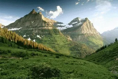 NATUREZA jigsaw puzzle