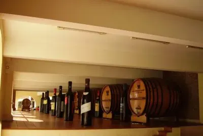 En una bodega mendocina. Argentina
