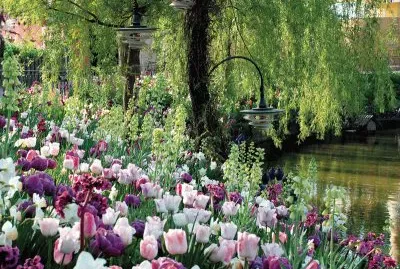 Tivoli Gardens-Copenhagen