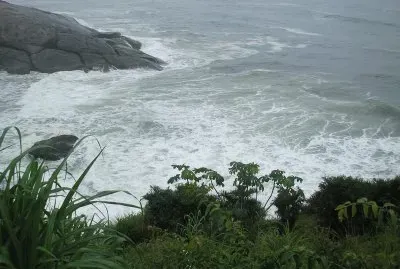 פאזל של manuelibz