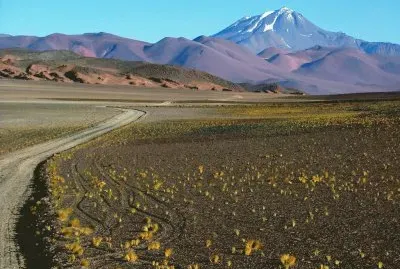פאזל של VolcÃ¡n Llullaillaco. Salta. Argentina