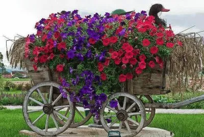 imagens jigsaw puzzle