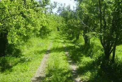 En Villa Regina. RÃ­o Negro. Argentina