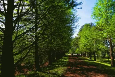 En Escobar. Buenos Aires. Argentina