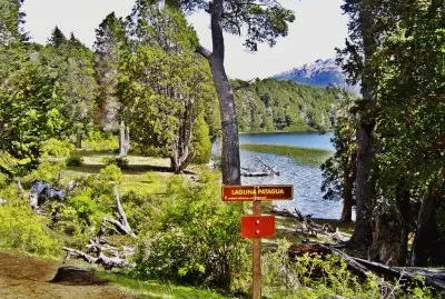 Laguna Patagua. NeuquÃ©n. Argentina