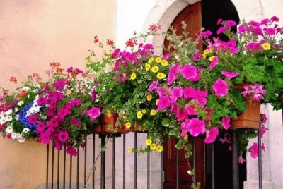 imagens jigsaw puzzle