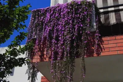 פאזל של cascada de flores