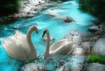 imagenes jigsaw puzzle