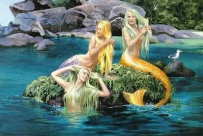 fantasia jigsaw puzzle