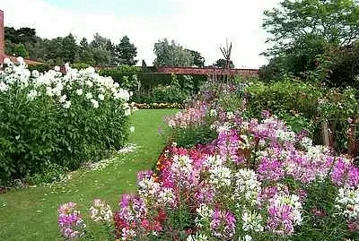 Elvaston Country Park