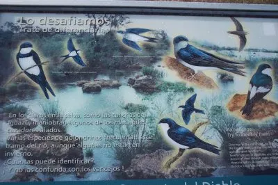 פאזל של golondrinas