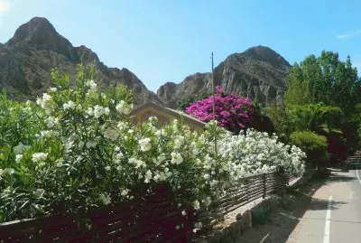 Valle Grande. Mendoza. Argentina