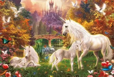 fantasia jigsaw puzzle