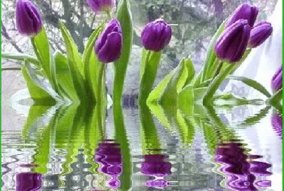 flowers jigsaw puzzle