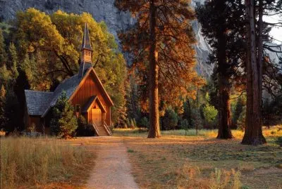 Trees- .hqimage.com-9999439