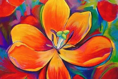 פאזל של Colorful