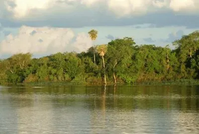Humedal en Villa Paranacito. Chaco. Argentina