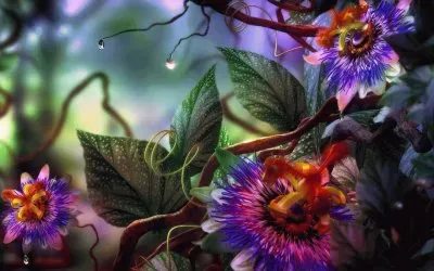 paisagens jigsaw puzzle