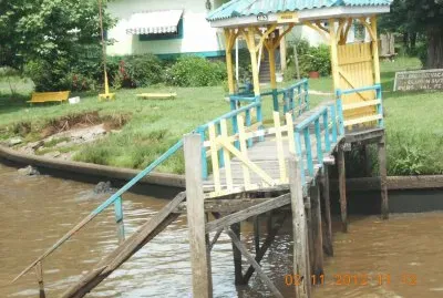 Tigre
