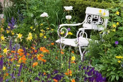 White Chair in Beautiful Garden