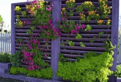 Creative Vertical Gardening