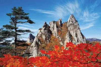 NATUREZA jigsaw puzzle