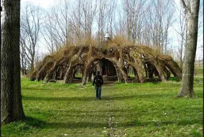 tree shelter