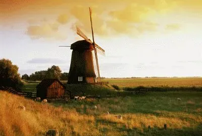 פאזל של NATUREZA