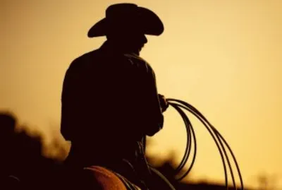 vaquero jigsaw puzzle