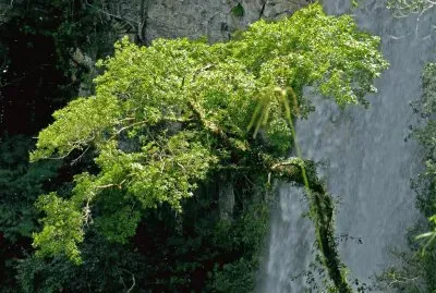 Salto Encantado. Misiones. Argentina