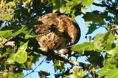 mom#209 jigsaw puzzle