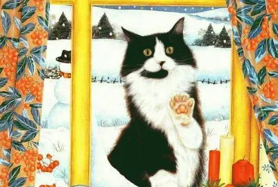 gato